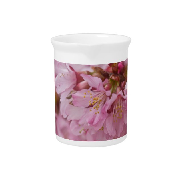 Sakura Cherry Blossoms Pale Pink Reflections Beverage Pitcher (Front)