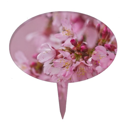 Sakura Cherry Blossoms Pale Pink Reflections Cake Topper