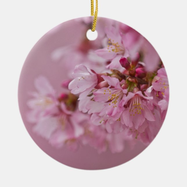 Sakura Cherry Blossoms Pale Pink Reflections Ceramic Ornament (Front)