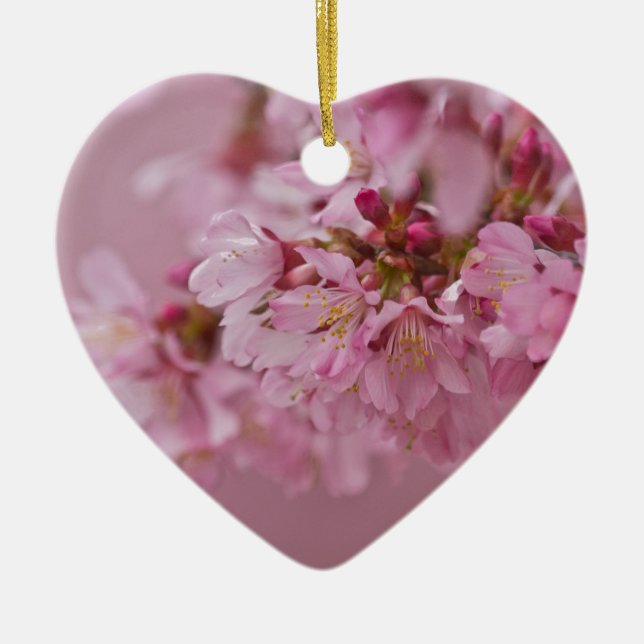 Sakura Cherry Blossoms Pale Pink Reflections Ceramic Ornament (Front)