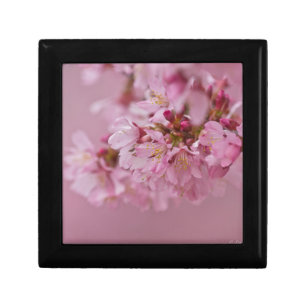 Sakura Cherry Blossoms Pale Pink Reflections Keepsake Box