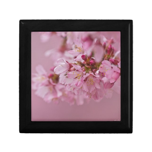 Sakura Cherry Blossoms Pale Pink Reflections Keepsake Box (Front)