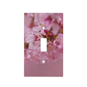 Sakura Cherry Blossoms Pale Pink Reflections Light Switch Cover