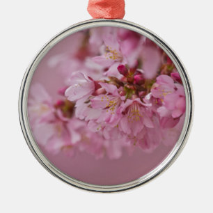 Sakura Cherry Blossoms Pale Pink Reflections Metal Ornament