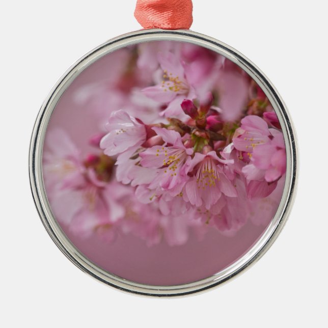 Sakura Cherry Blossoms Pale Pink Reflections Metal Ornament (Front)