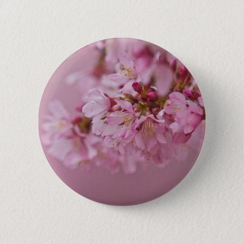 Sakura Cherry Blossoms Pale Pink Reflections Pinback Button