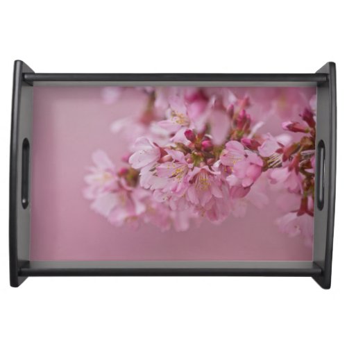 Sakura Cherry Blossoms Pale Pink Reflections Serving Tray