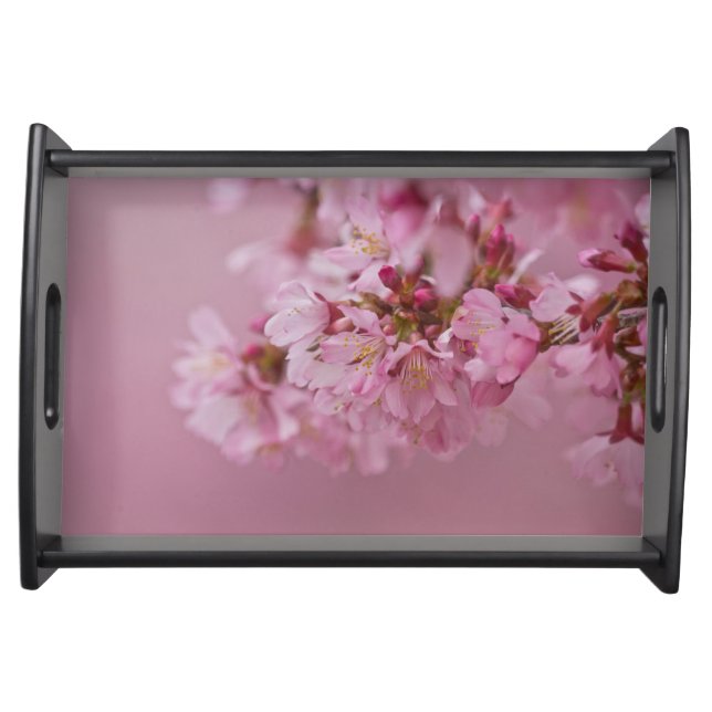 Sakura Cherry Blossoms Pale Pink Reflections Serving Tray (Front)