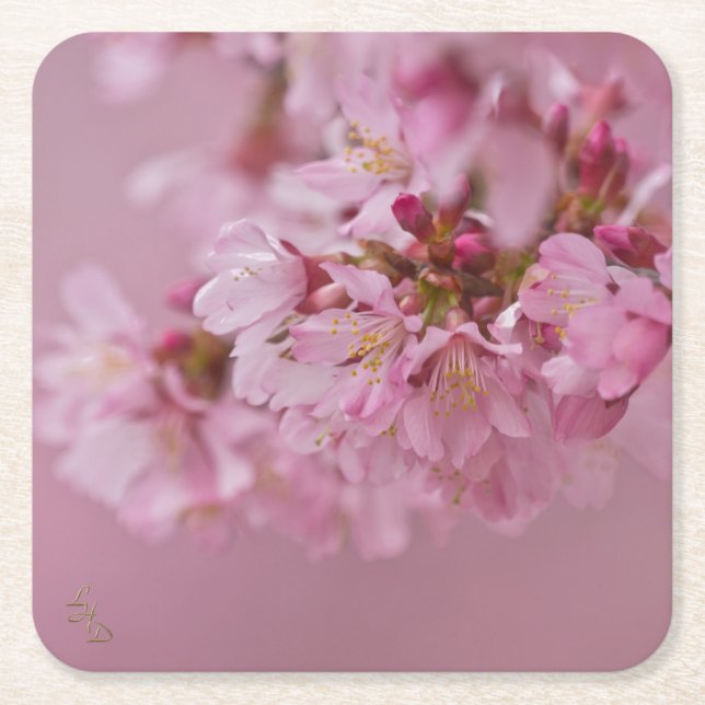 Sakura Cherry Blossoms Pale Pink Reflections Square Paper Coaster (Front)