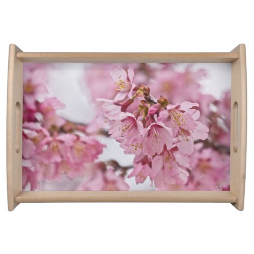 Sakura Cherry Blossoms Pale Pink Serving Tray