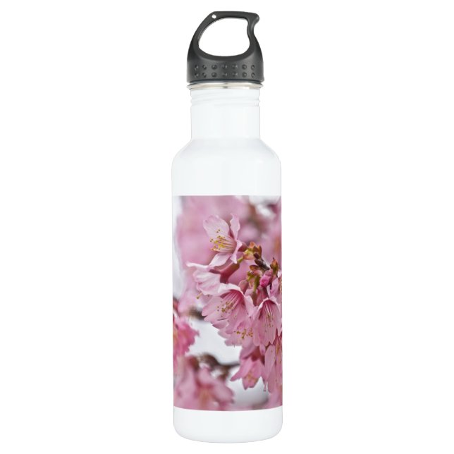 Sakura Cherry Blossoms Pale Pink Stainless Steel Water Bottle (Front)