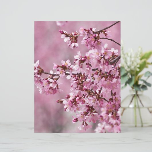 Sakura Cherry Blossoms Pastel Pink Layers (Standing Front)