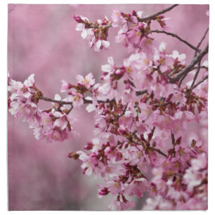 Sakura Cherry Blossoms Pastel Pink Layers Cloth Napkin