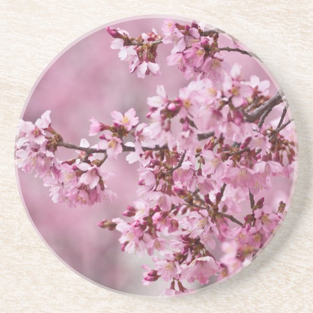 Sakura Cherry Blossoms Pastel Pink Layers Drink Coaster (Front)