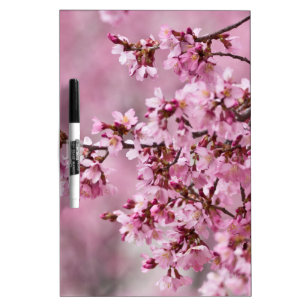 Sakura Cherry Blossoms Pastel Pink Layers Dry Erase Board