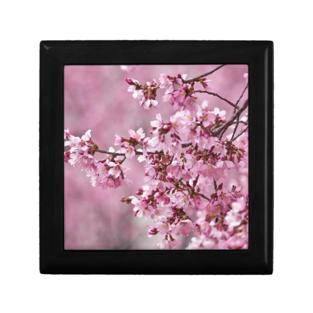 Sakura Cherry Blossoms Pastel Pink Layers Gift Box (Front)