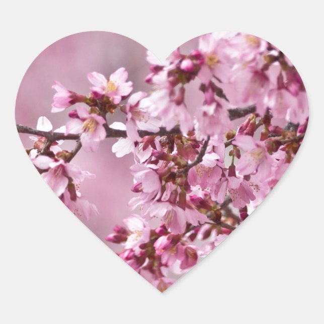 Sakura Cherry Blossoms Pastel Pink Layers Heart Sticker (Front)