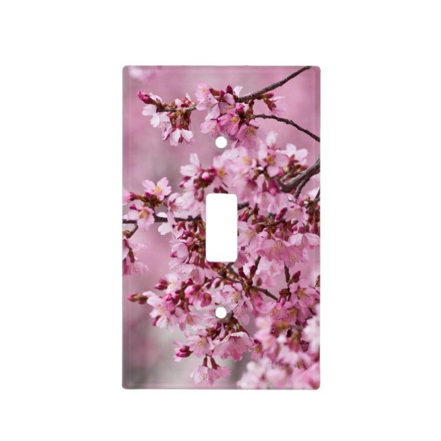 Sakura Cherry Blossoms Pastel Pink Layers Light Switch Cover (Front)