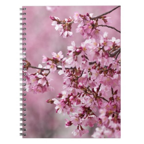 Sakura Cherry Blossoms Pastel Pink Layers Notebook