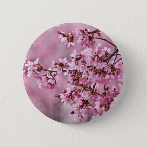 Sakura Cherry Blossoms Pastel Pink Layers Pinback Button