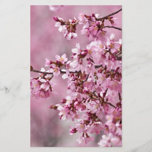 Sakura Cherry Blossoms Pastel Pink Layers Stationery