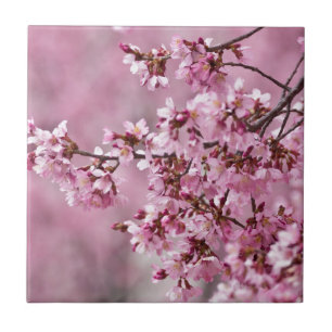 Sakura Cherry Blossoms Pastel Pink Layers Tile