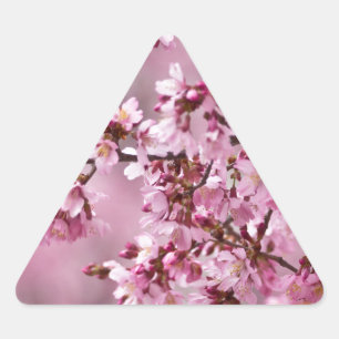 Sakura Cherry Blossoms Pastel Pink Layers Triangle Sticker