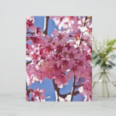 Sakura Cherry Blossoms Red Stars (Standing Front)