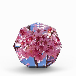 Sakura Cherry Blossoms Red Stars Acrylic Award