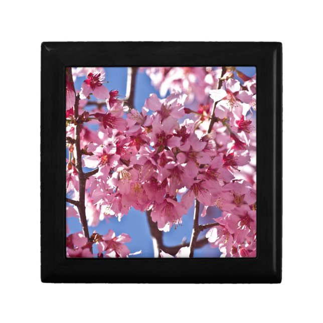 Sakura Cherry Blossoms Red Stars Jewelry Box (Front)