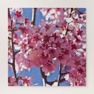 Sakura Cherry Blossoms Red Stars Jigsaw Puzzle