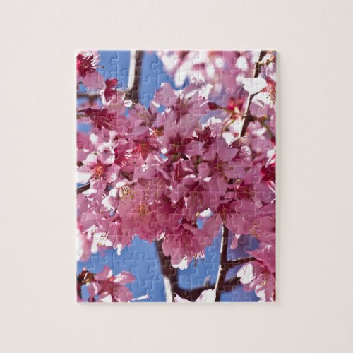 Sakura Cherry Blossoms Red Stars Jigsaw Puzzle