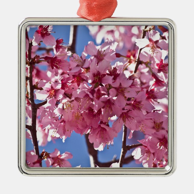 Sakura Cherry Blossoms Red Stars Metal Ornament (Front)