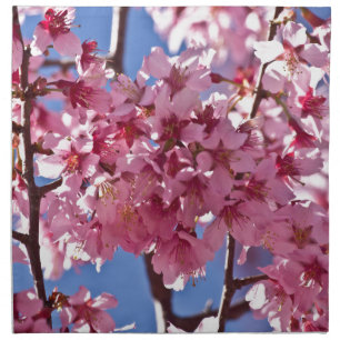 Sakura Cherry Blossoms Red Stars Napkin