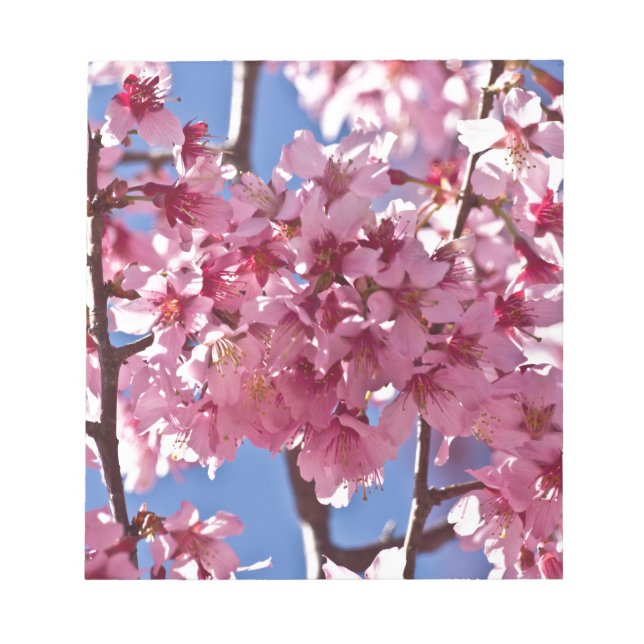 Sakura Cherry Blossoms Red Stars Notepad (Front)