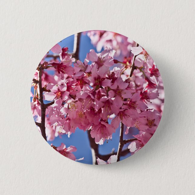Sakura Cherry Blossoms Red Stars Pinback Button (Front)