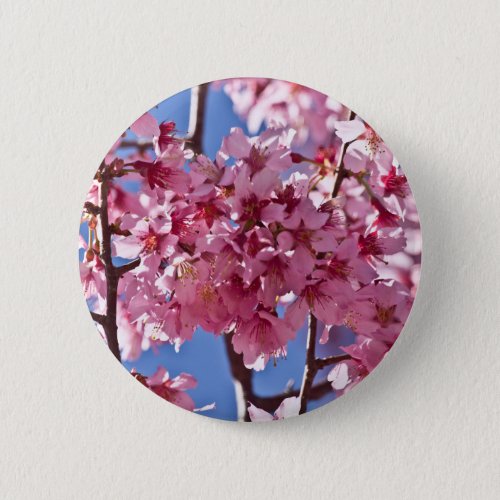 Sakura Cherry Blossoms Red Stars Pinback Button