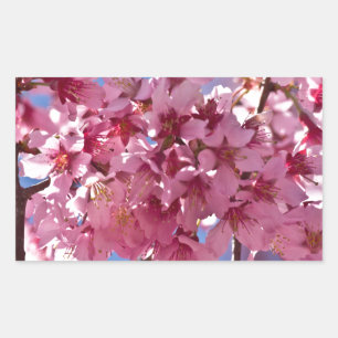 Sakura Cherry Blossoms Red Stars Rectangular Sticker