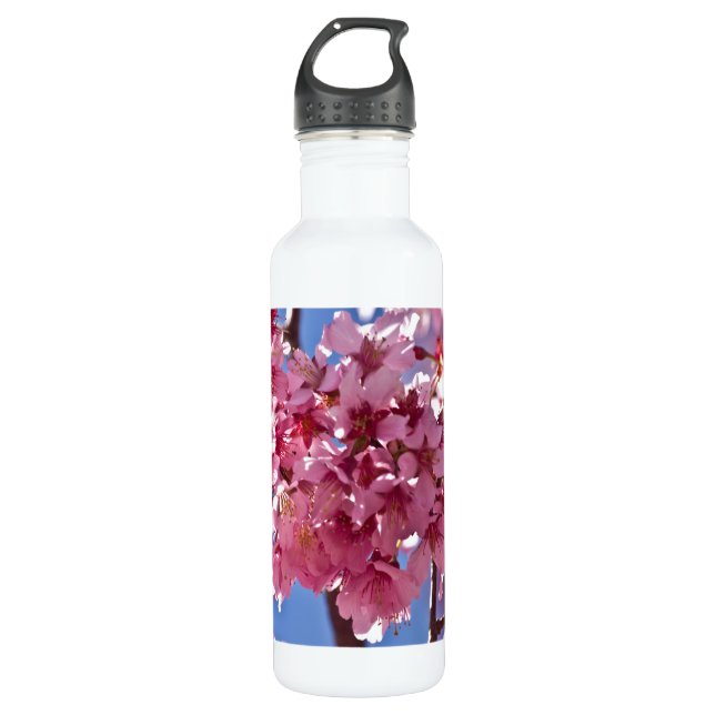 Sakura Cherry Blossoms Red Stars Water Bottle (Front)