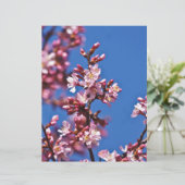 Sakura Cherry Blossoms Touching Blue (Standing Front)