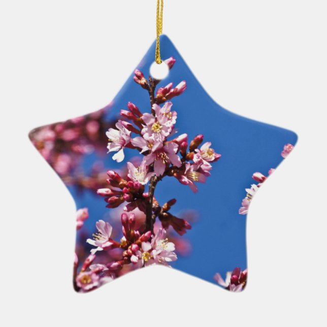 Sakura Cherry Blossoms Touching Blue Ceramic Ornament (Front)