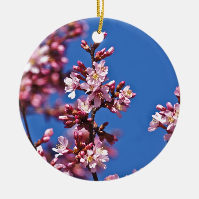 Sakura Cherry Blossoms Touching Blue Ceramic Ornament (Front)