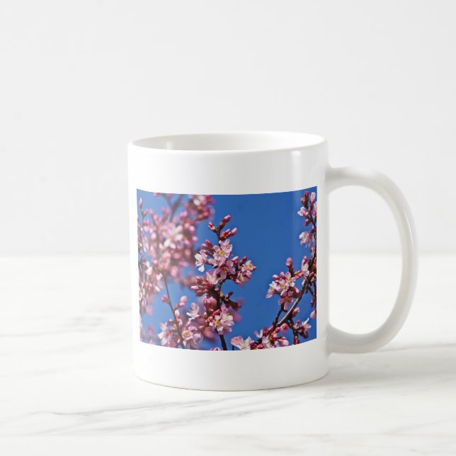 Sakura Cherry Blossoms Touching Blue Coffee Mug (Right)