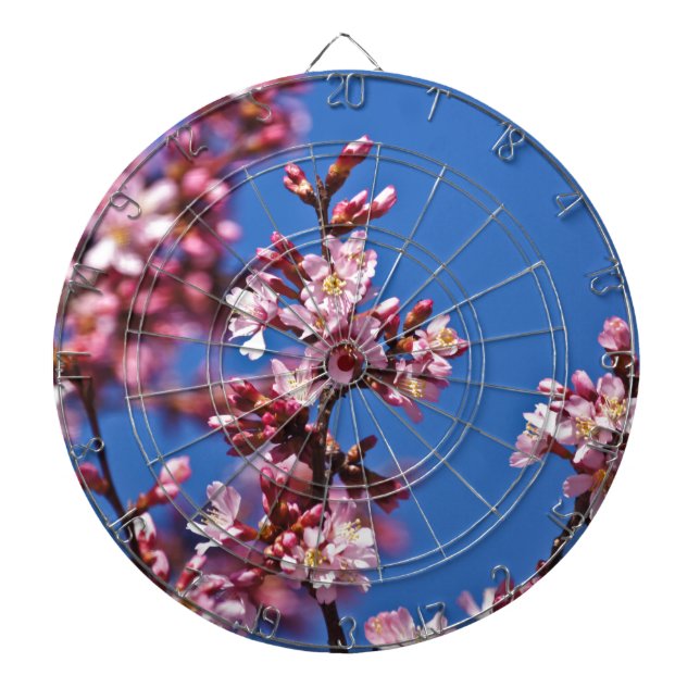 Sakura Cherry Blossoms Touching Blue Dart Board (Front)