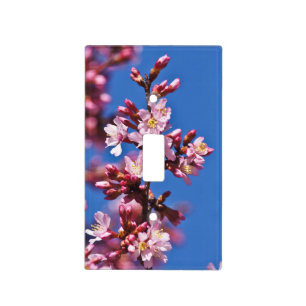 Sakura Cherry Blossoms Touching Blue Light Switch Cover