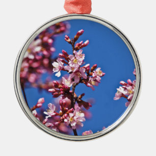 Sakura Cherry Blossoms Touching Blue Metal Ornament
