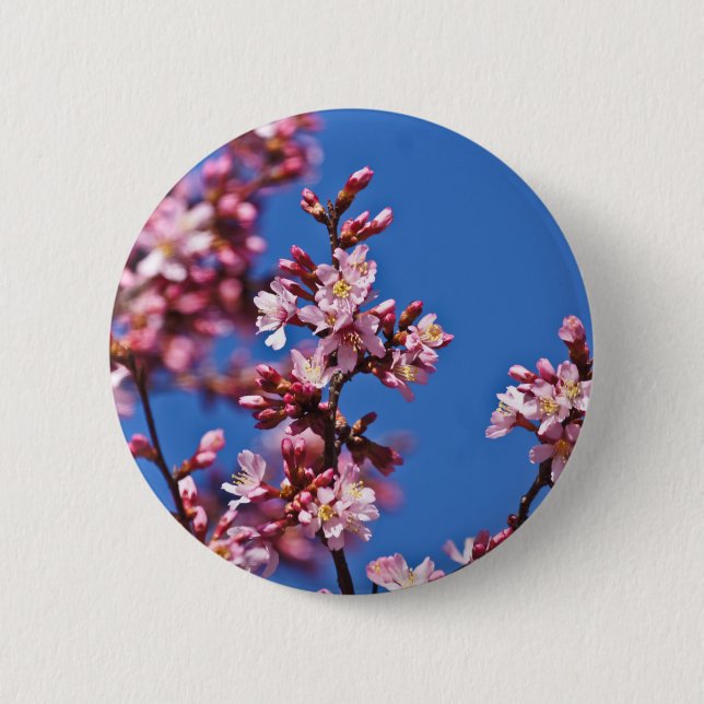 Sakura Cherry Blossoms Touching Blue Pinback Button (Front)