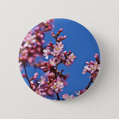 Sakura Cherry Blossoms Touching Blue Pinback Button
