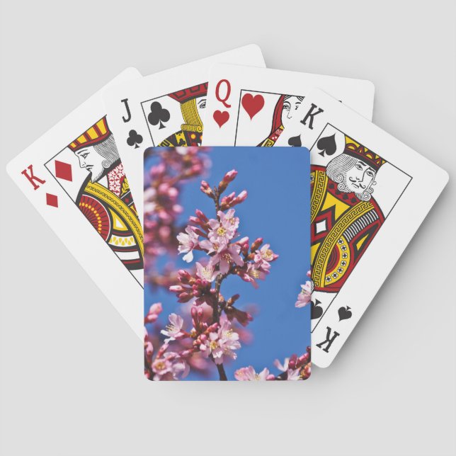 Sakura Cherry Blossoms Touching Blue Poker Cards (Back)