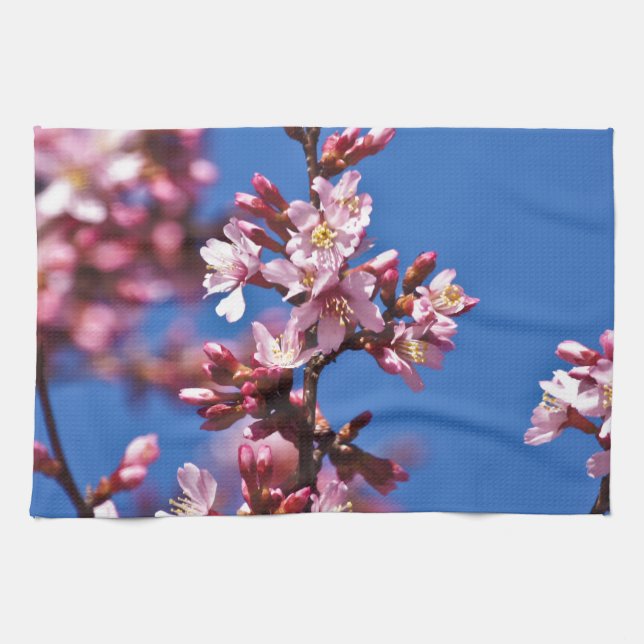 Sakura Cherry Blossoms Touching Blue Towel (Horizontal)